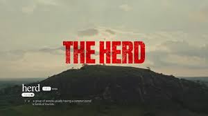 The Herd