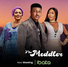 The Meddler