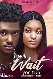I Will Wait For You