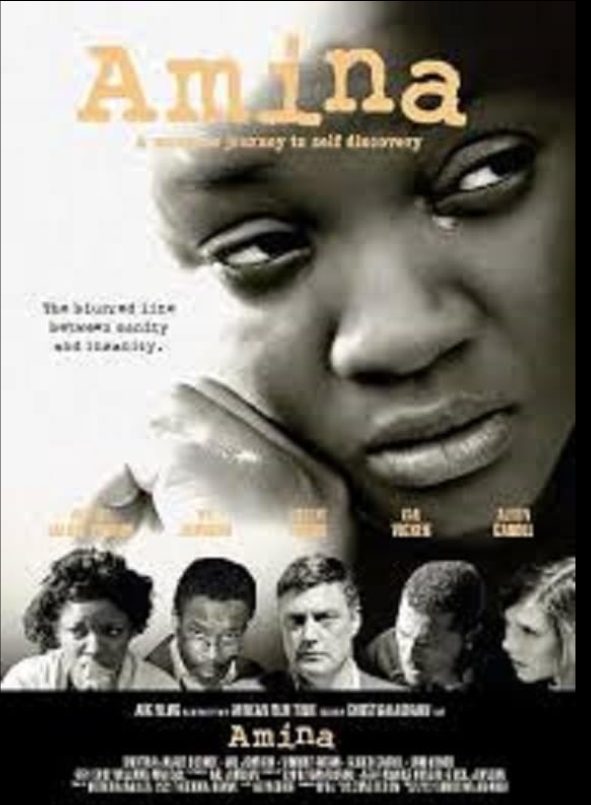 Amina (2012)