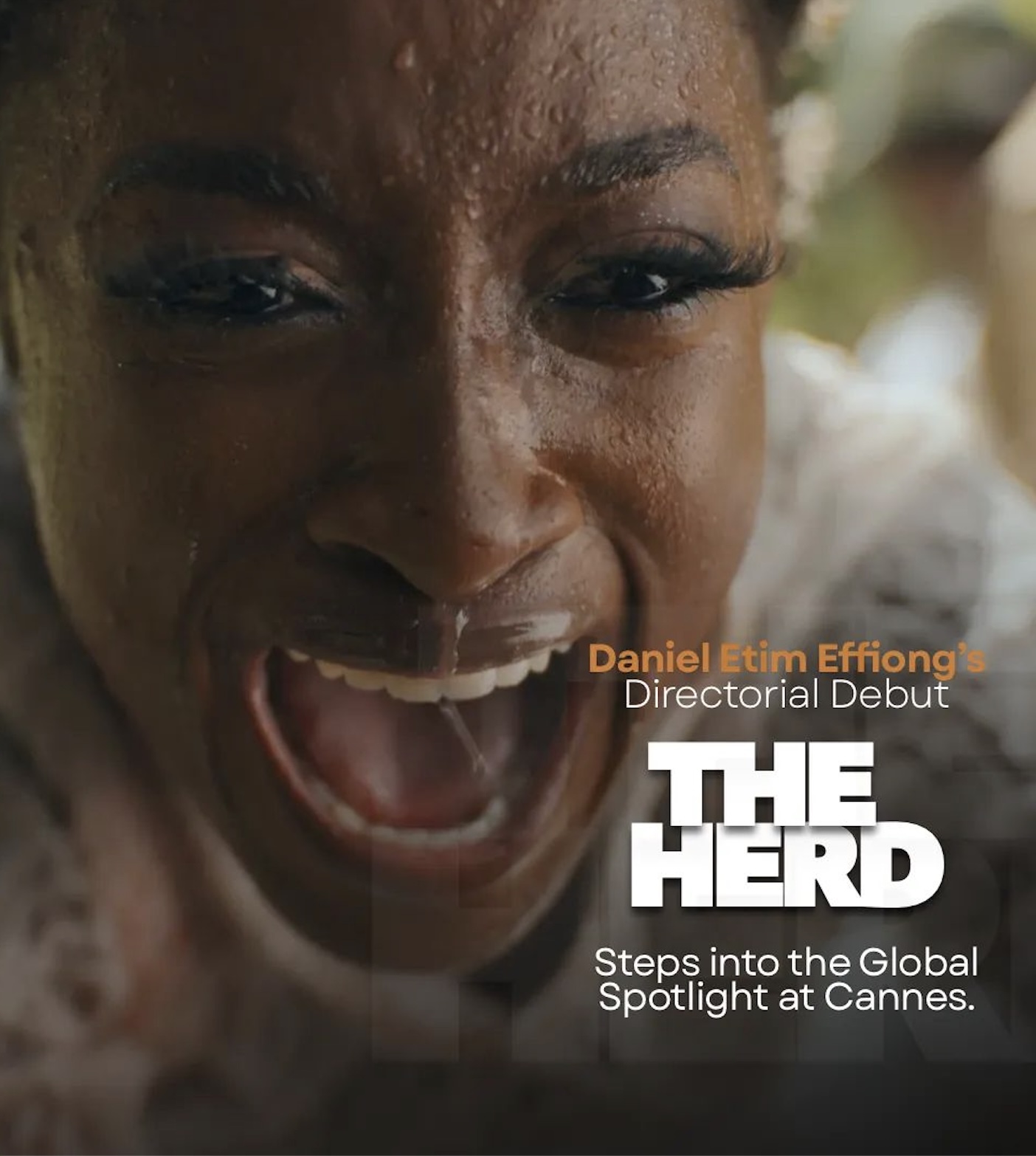 the-herd