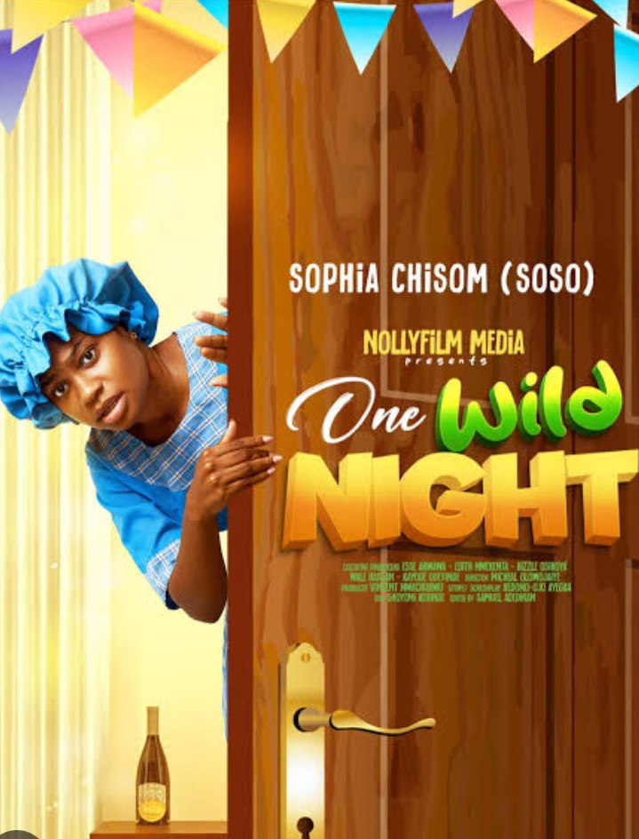 One Wild Night